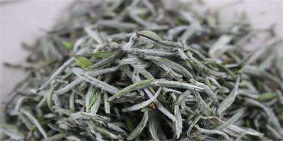 茶葉理?xiàng)l機(jī) 茶葉理?xiàng)l機(jī)