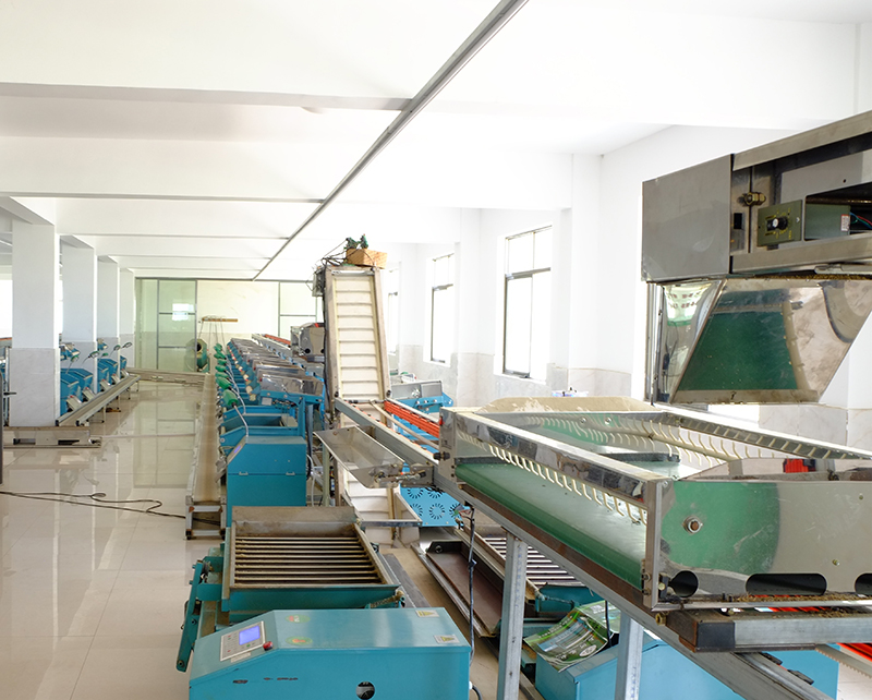 扁形茶自動(dòng)加工生產(chǎn)線生產(chǎn)側(cè)面2 扁形茶自動(dòng)加工生產(chǎn)線生產(chǎn)側(cè)面2